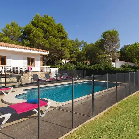 Camomila Tomas By Santo Tomás