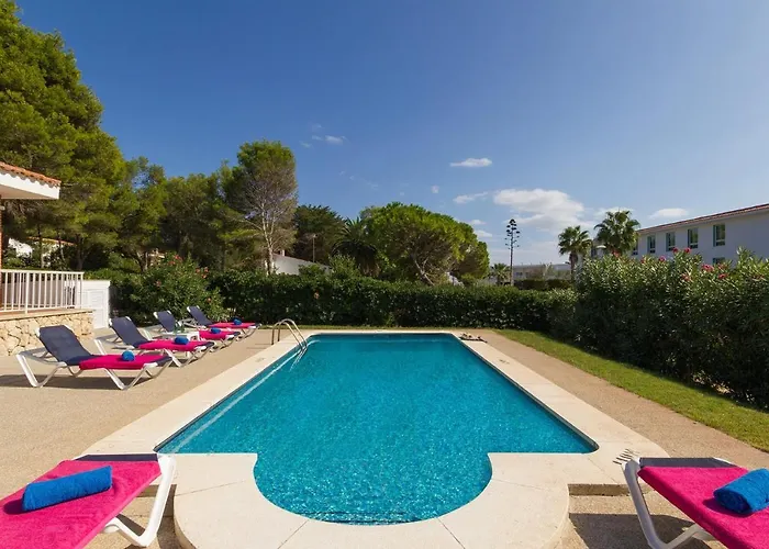 Camomila Tomas By * Santo Tomas