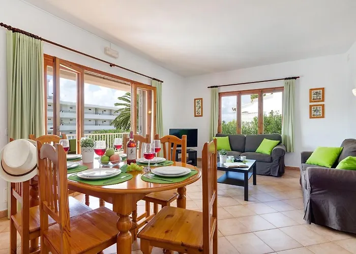 Camomila Tomas By Santo Tomás