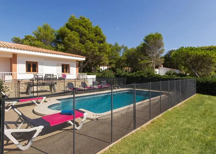 Camomila Tomas By Santo Tomás