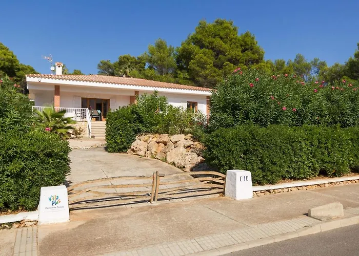 Camomila Tomas By Vila Santo Tomás